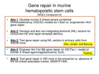 Gene repair in murine hematopoietic stem cells (NGEC Component 6)