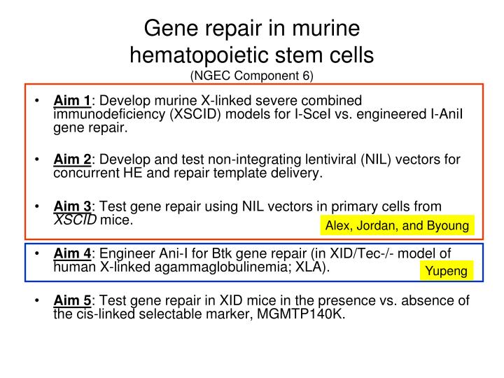 gene repair in murine hematopoietic stem cells ngec component 6