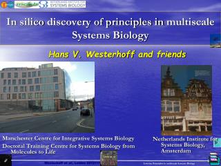 In silico discovery of principles in multiscale Systems Biology