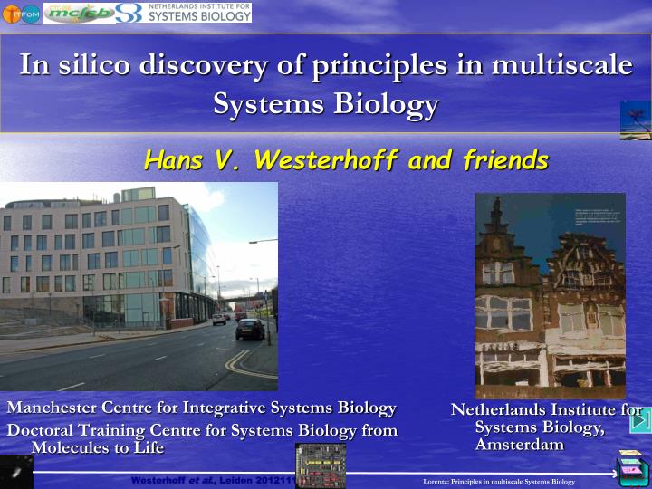 in silico discovery of principles in multiscale systems biology