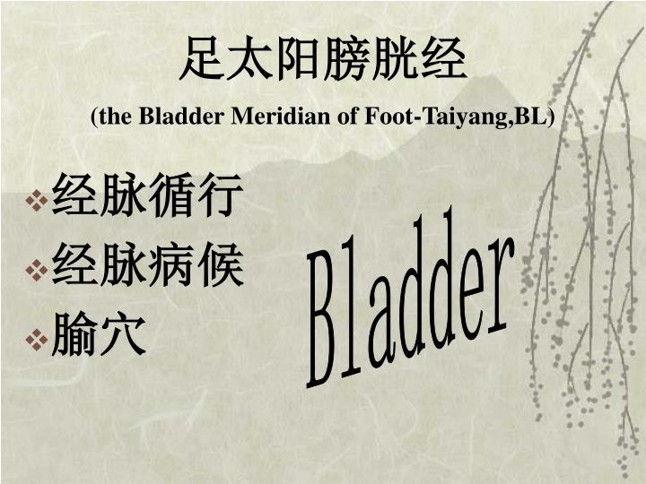 the bladder meridian of foot taiyang bl