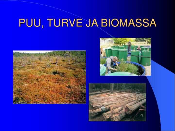 puu turve ja biomassa