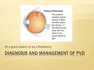 Diagnosis and management of PVD