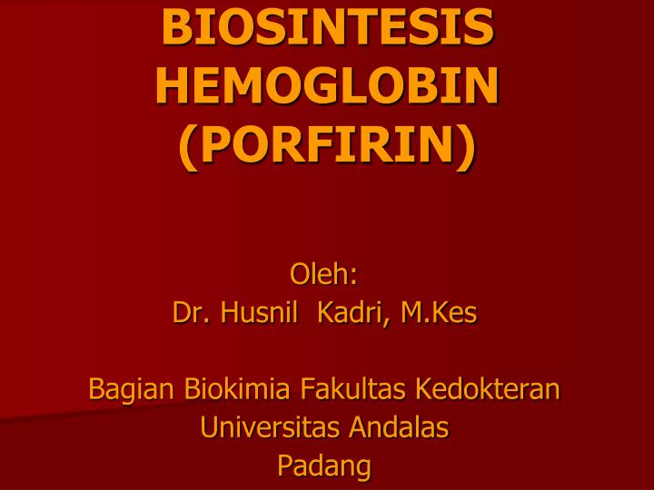 biosintesis hemoglobin porfirin
