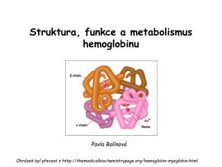 struktura funkce a metabolismus hemoglobinu