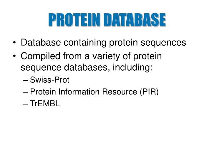 protein database