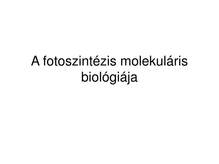 a fotoszint zis molekul ris biol gi ja