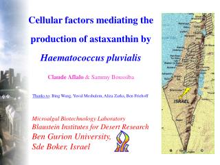 Cellular factors mediating the production of astaxanthin by Haematococcus pluvialis