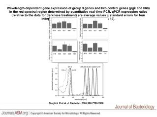 Steglich C et al. J. Bacteriol. 2006;188:7796-7806