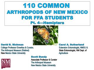 110 COMMON ARTHROPODS OF NEW MEXICO FOR FFA STUDENTS Pt. 4--- Hemiptera