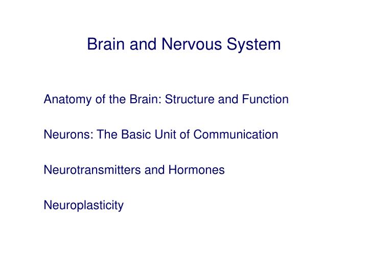 brain and nervous system