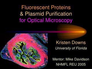 Fluorescent Proteins &amp; Plasmid Purification for Optical Microscopy