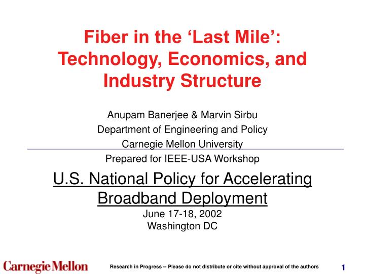 fiber in the last mile technology economics and industry structure