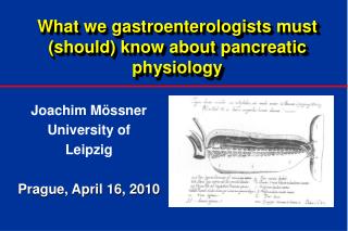 What we gastroenterologists must (should) know about pancreatic physiology