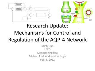 Research Update: Mechanisms for Control and Regulation of the AQP-4 Network