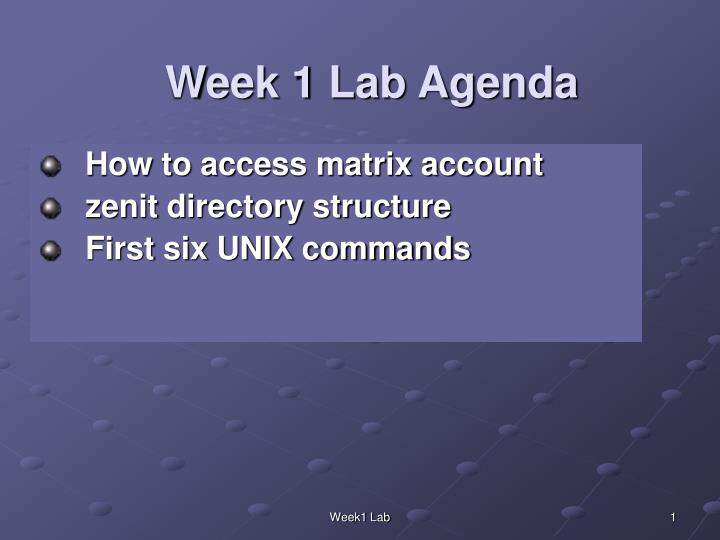 week 1 lab agenda