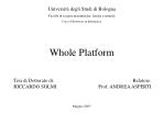 Whole Platform - slide 1
