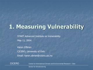1. Measuring Vulnerability
