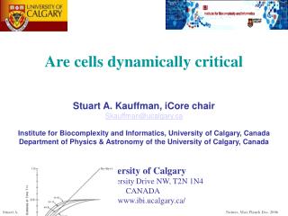 Are cells dynamically critical
