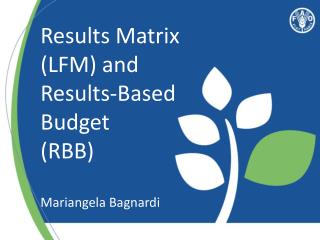 Results Matrix (LFM) and Results-Based Budget (RBB) Mariangela Bagnardi