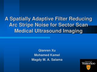 a spatially adaptive filter reducing arc stripe noise for sector scan medical ultrasound imaging