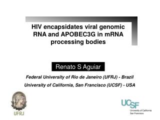 HIV encapsidates viral genomic RNA and APOBEC3G in mRNA processing bodies