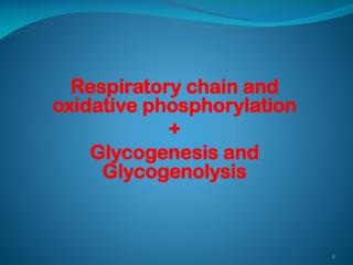 Respiratory chain and oxidative phosphorylation + Glycogenesis and Glycogenolysis