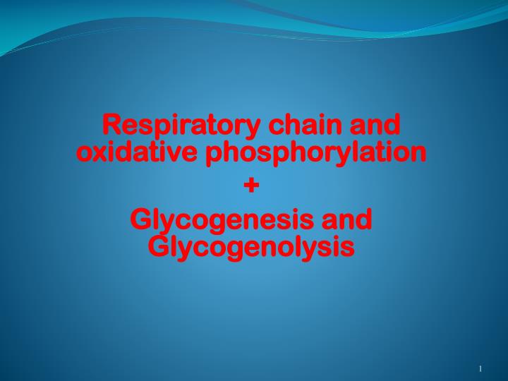 respiratory chain and oxidative phosphorylation glycogenesis and glycogenolysis