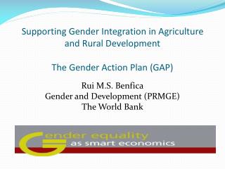 PPT - Gender Integration PowerPoint Presentation, free download - ID ...