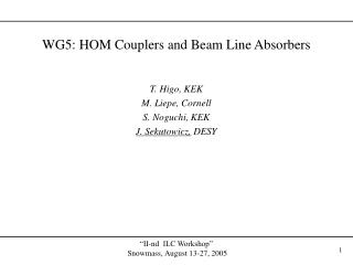 WG5: HOM Couplers and Beam Line Absorbers
