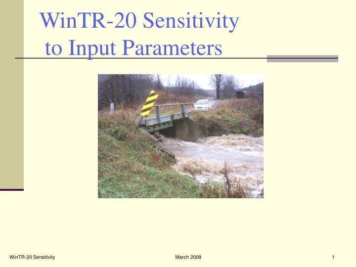 wintr 20 sensitivity to input parameters