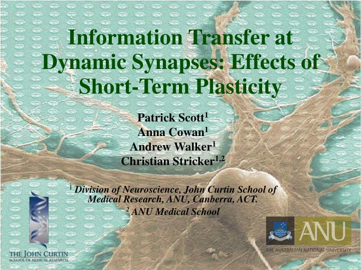 information transfer at dynamic synapses effects of short term plasticity