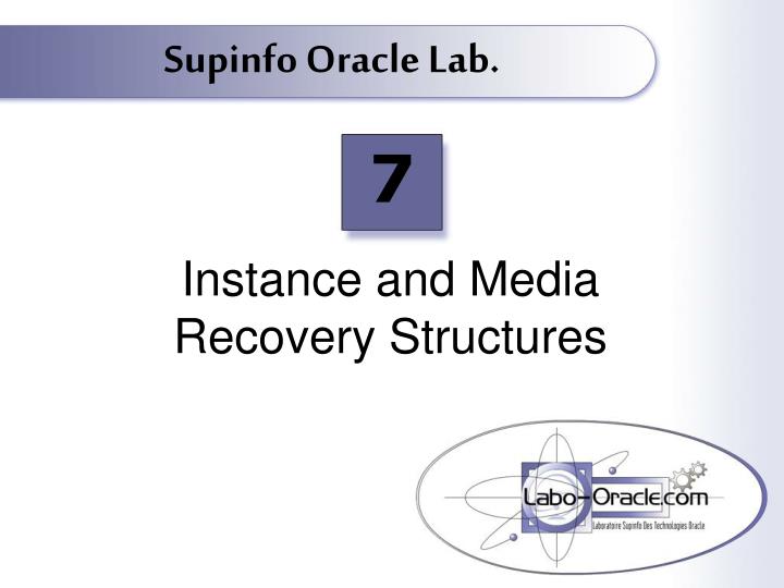 instance and media recovery structures
