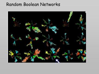 Random Boolean Networks