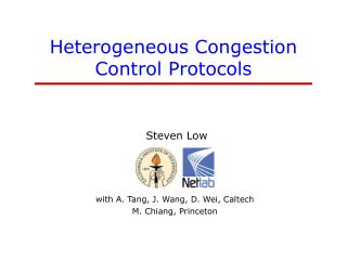 Heterogeneous Congestion Control Protocols