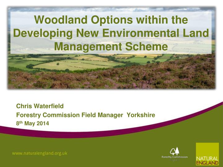 woodland options within the developing new environmental land management scheme