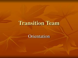 Transition Team