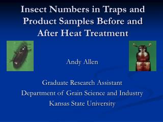 Insect Numbers in Traps and Product Samples Before and After Heat Treatment