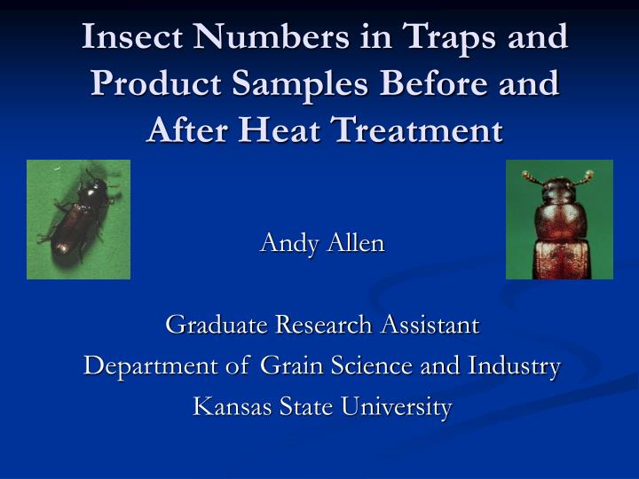 insect numbers in traps and product samples before and after heat treatment