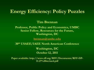 Energy Efficiency: Policy Puzzles