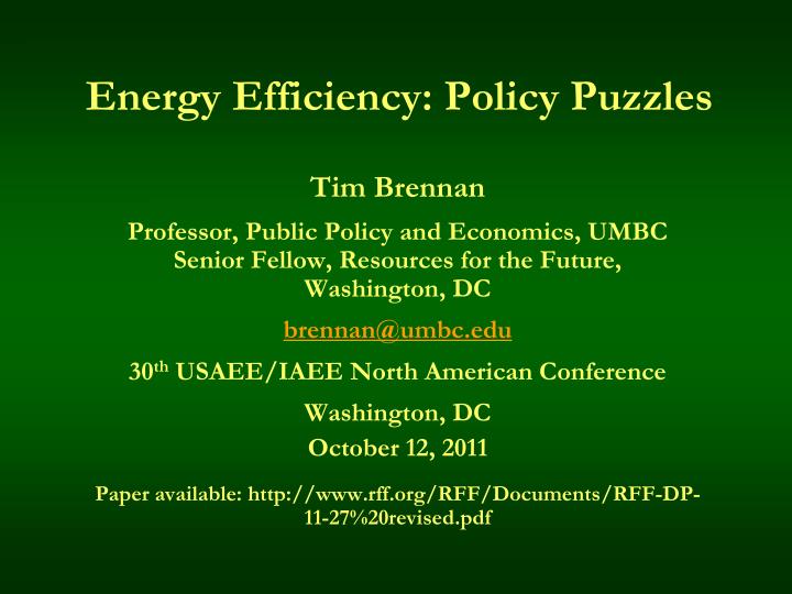 energy efficiency policy puzzles