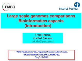 Large scale genomes comparisons Bioinformatics aspects (Introduction)