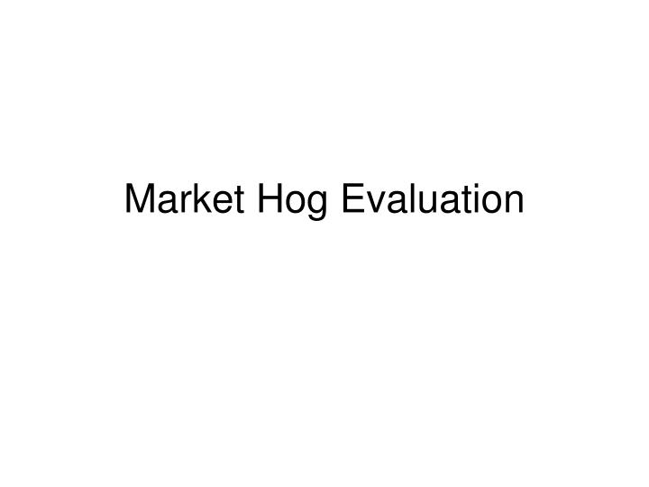 market hog evaluation