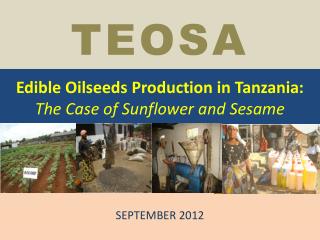 Edible Oilseeds Production in Tanzania: The Case of Sunflower and Sesame