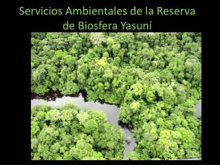 servicios ambientales de la reserva de biosfera yasun