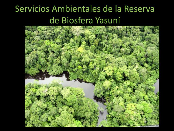 servicios ambientales de la reserva de biosfera yasun
