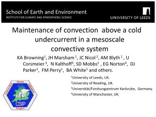 Maintenance of convection above a cold undercurrent in a mesoscale convective system