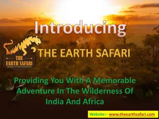 Book Your Kenya, Tanzania, Africa or India Safari Packeges