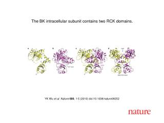 YK Wu et al. Nature 000 , 1-5 (2010) doi:10.1038/nature09252