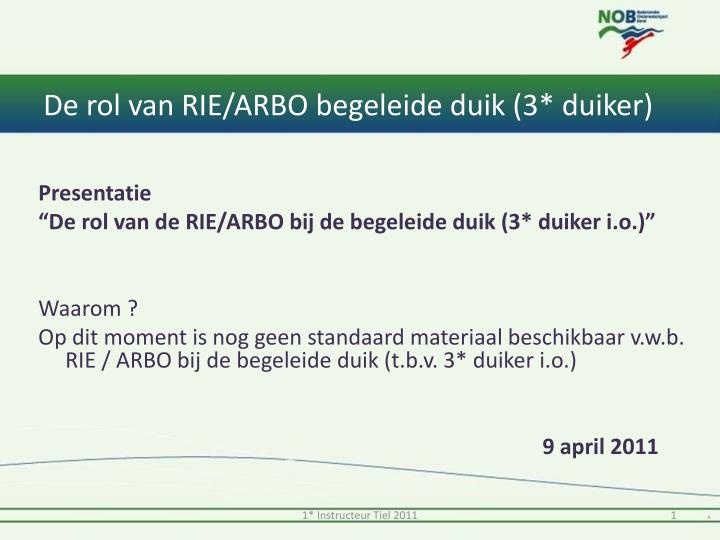 de rol van rie arbo begeleide duik 3 duiker